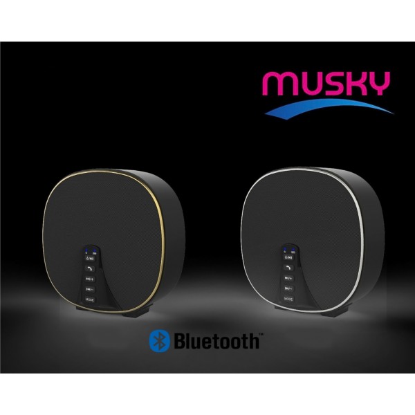 Musky Bluetooth Super Bass